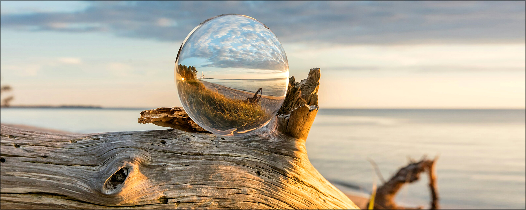 ProArt Glas-Art 125x50cm Drop On Wood