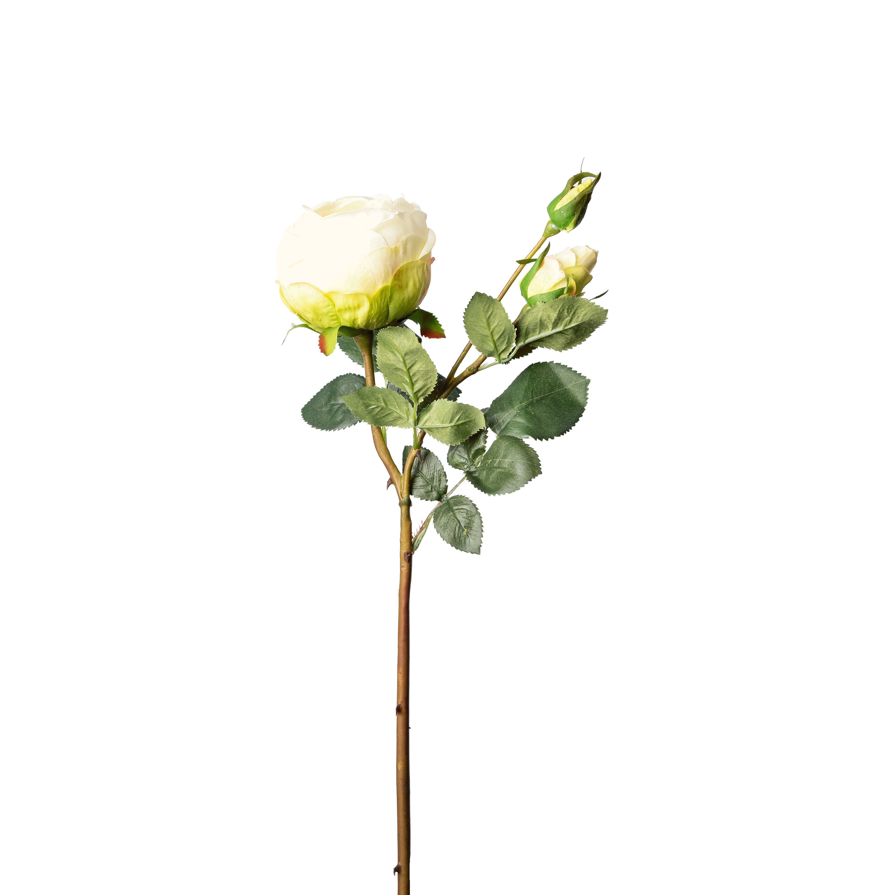 Flower Manufaktur Rose ca. 60cm in Farbe Creme/Weiß