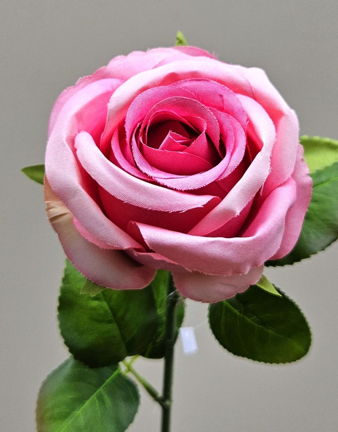 Andreas Französische Rose,50cm ROSE in hellrosa Andreas Französische Rose,50cm ROSE in hellrosa
