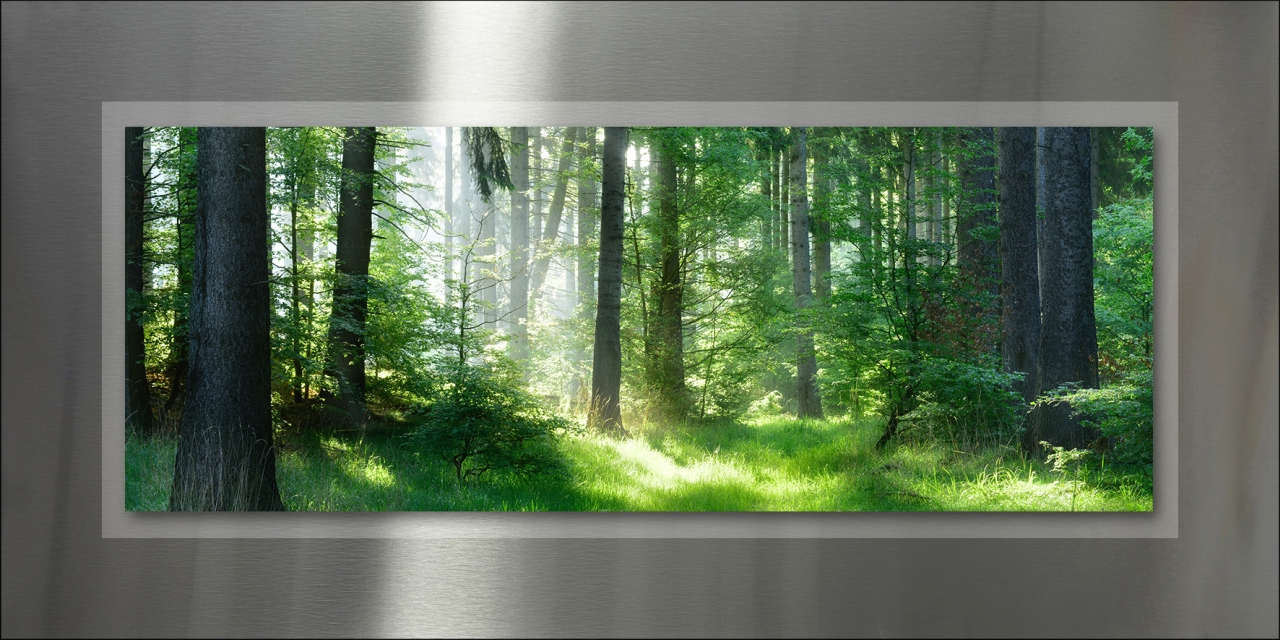 PRO ART Double-Alu -Acryl bedruckt mit Aufsatz aus Acryl 100x50cm Mystic Forest I PRO ART Double-Alu -Acryl bedruckt mit Aufsatz aus Acryl 100x50cm Mystic Forest I, Pflanzenwuchs, Baum, Hain, Wald, Sonnenlicht