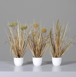 DPI Grassortiment 3tlg. 57093-76 in 36cm Fb. sand DPI Grassortiment 3tlg. 57093-76 in 36cm Fb. sand