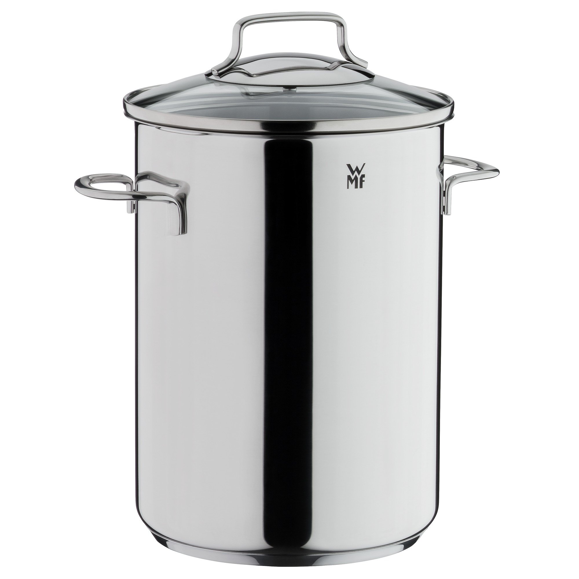 WMF Spargeltopf Ø 16 cm mit Drahteinsatz Ø 16cm ca.4,5ltr. 799716380 Edelstahl