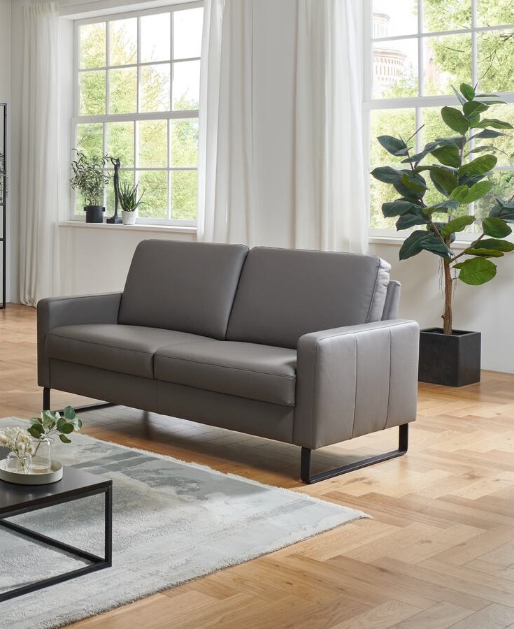 Carina Polstermöbel Sofa 2,5-sitzig ANUK in Leder Soft-Line elephant