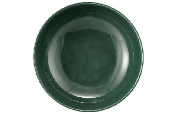 Seltmann Weiden Foodbowl 17,5cm Terra 3 Moosgrün 