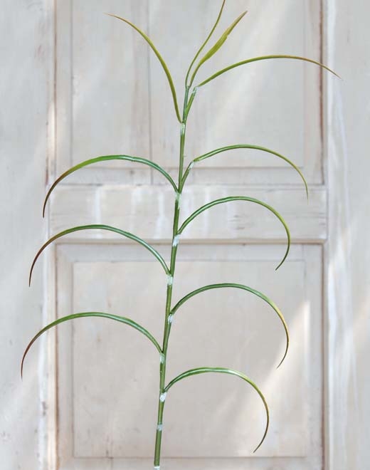 Bambuszweig grün Höhe ca. 100 cm // Bambuszweig // grün // Höhe ca. 100 cm