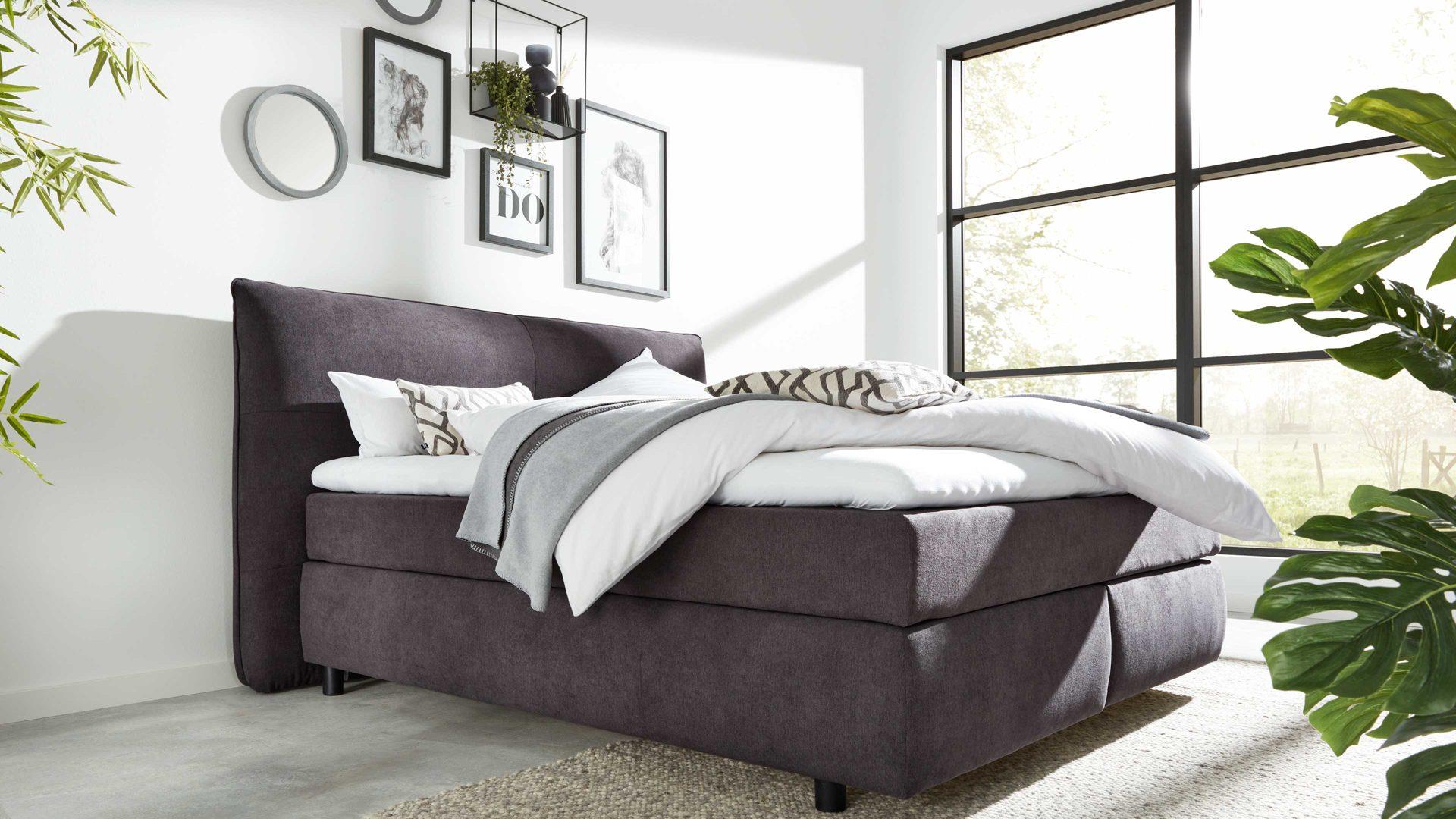Interliving Boxspringbett 1414 ca. 180 x 200 cm in Stoff dunkelgrau Interliving Boxspringbett 1414 ca. 180 x 200 cm in Stoff dunkelgrau