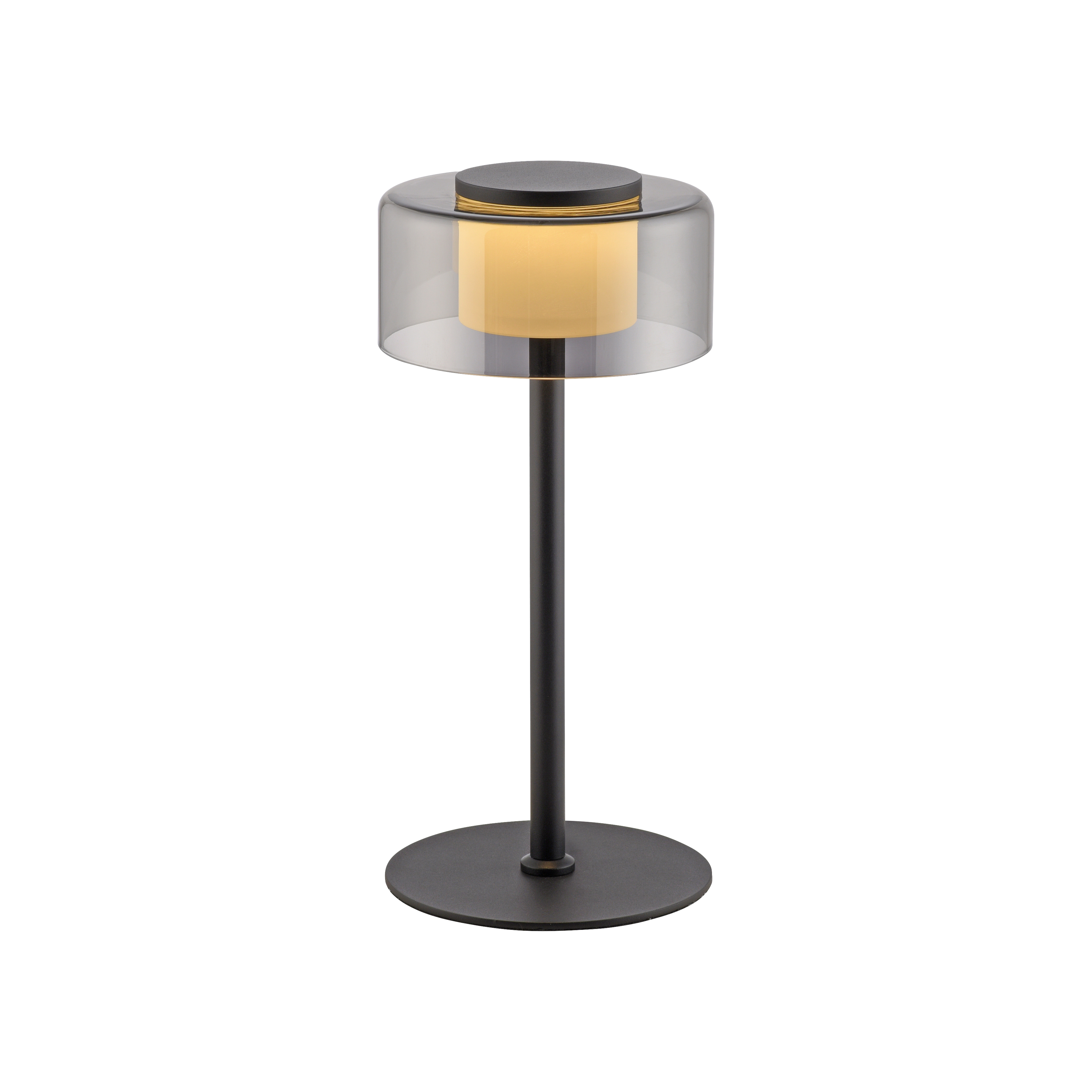 Paul Neuhaus LED-Tischleuchte RIKA 1-flammig in Farbe schwarz, Tischlampe, Stehlampe, Glasschirm, Metall, dunkel