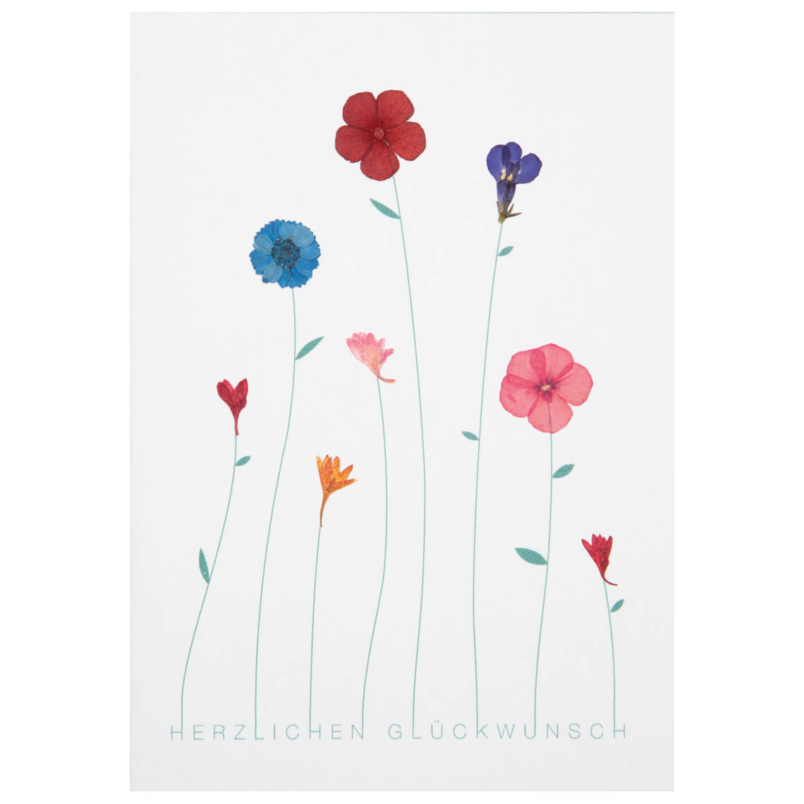 Herzblütenkarte Herzlichen Glückwunsch Herzblütenkarte Herzlichen Glückwunsch, Blumen, Wandkarte, Kartenmotiv, Glückwunschkarte, Papierkarte