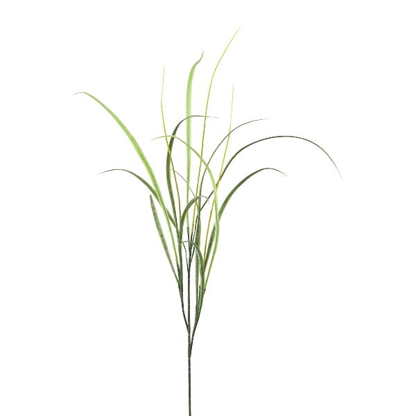 Affengraszweig 117cm 27067-50 in Grün, gras, pflanze, zweig, gräser, grün