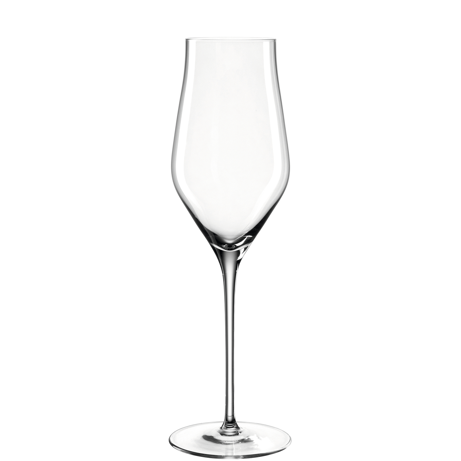 Leonardo Champagnerglas Brunelli 340ml in Farbe klar
