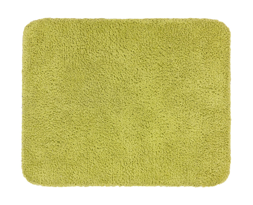 Golze & Söhne Schmutzfangmatte Entra Saugstark ca. 75x130cm in Farbe grün