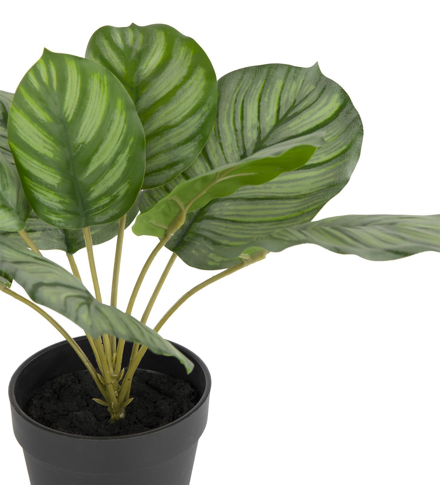 Coco Maison Kunstpflanze ca. H45 cm in Calathea Orbifolia