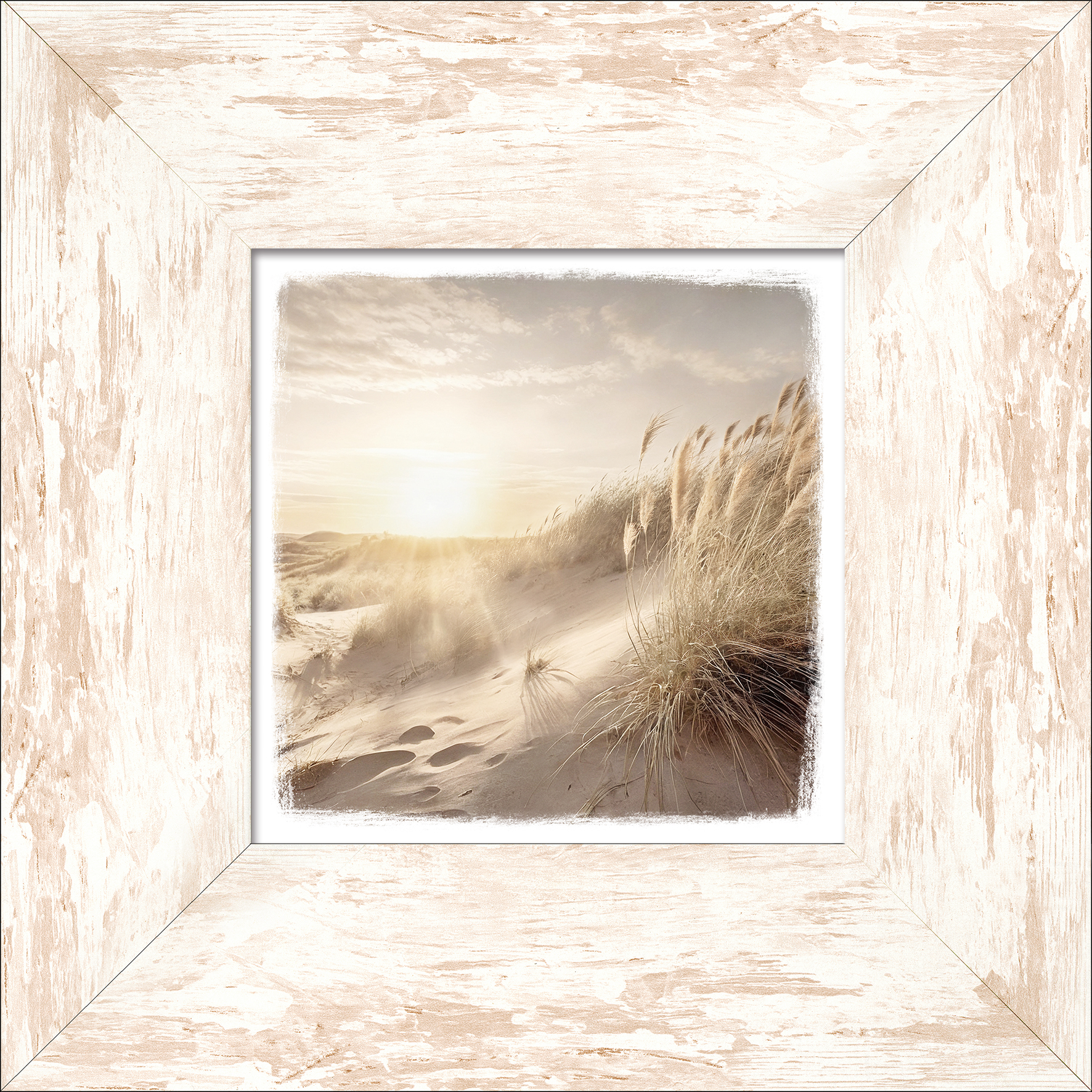 PRO ART New Classic Wood 34x34cm Dune Grass At Sunrise