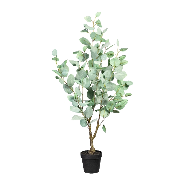 Gasper Eukalyptus populus, 90cm, in Farbe Grün-Grau, Pflanze, Kunstpflanze, Kübelpflanze, Eukalyptus, Zweig