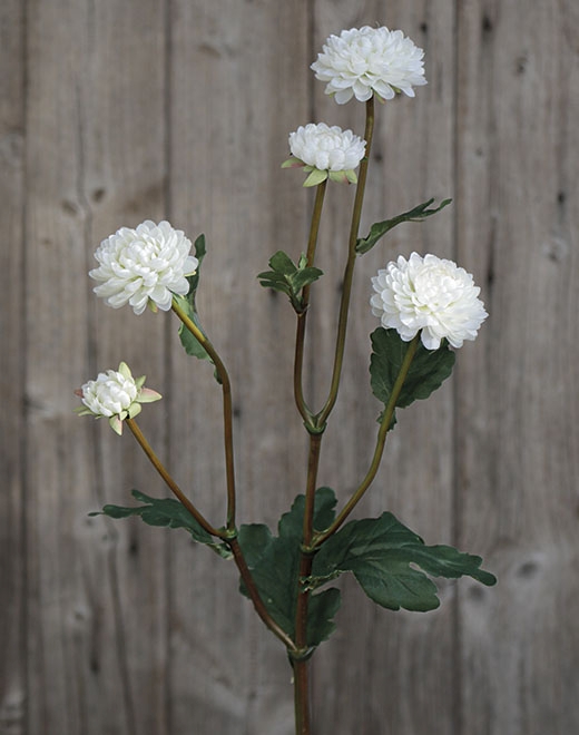 Chrysantheme,5-f,68cm 3199778A3 in creme-weiß