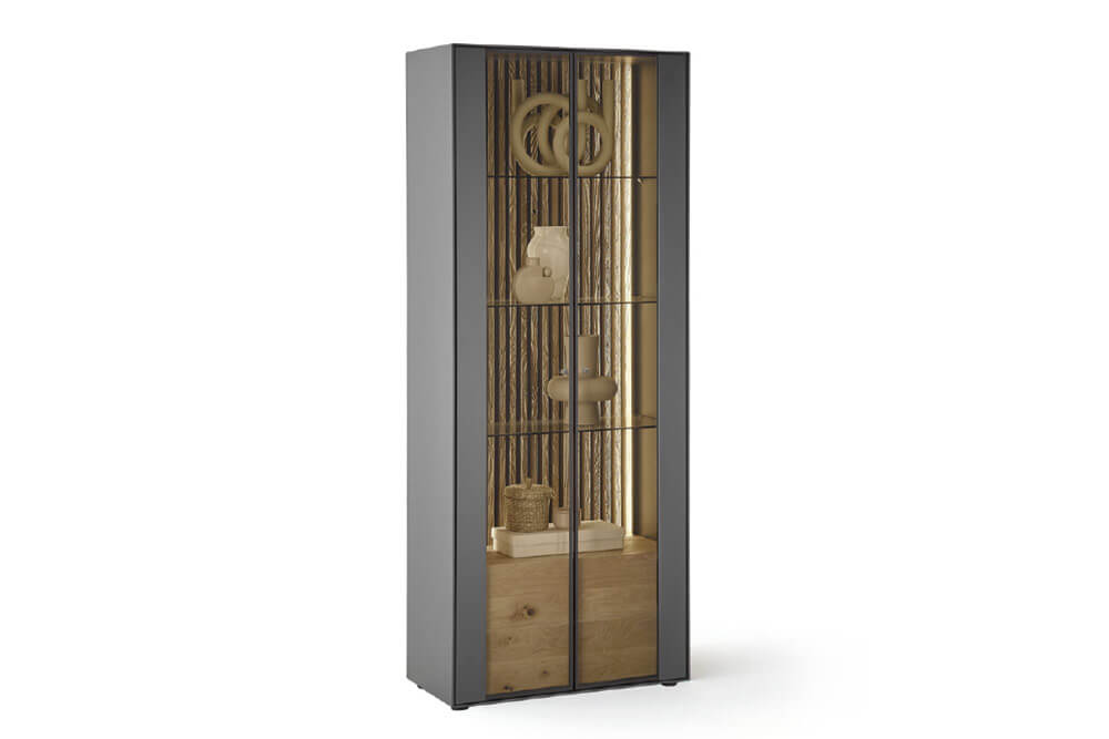 Hartmann Standvitrine SELINO in Birke massiv anthrazit lack. Hartmann Standvitrine SELINO in Birke massiv anthrazit lack., Vitrine, Glasvitrine, Vitrinenschrank, Regal, Holzdekor