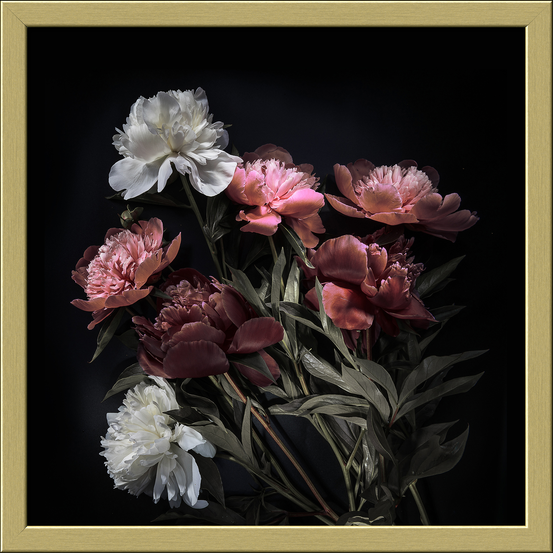 ProArt Framed-Art Slim Scandic 28x28cm Beautiful Roses V ProArt Framed-Art Slim Scandic 28x28cm Beautiful Roses V