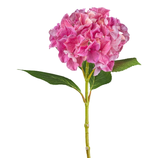 Gasper Hortensie, 66 cm, pink in Farbe Pink, Hydrangea, rosa, Blume, Stiel, Blätter