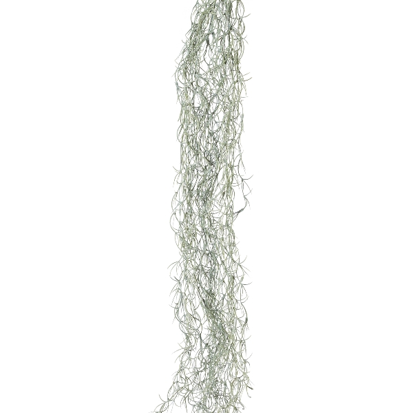 Tillandsienranke 1/Poly 146cm OLIMPIA in Grün, Kunstgrün, Girlanden-Garn, Lichterketten-Grün, Drahtloses Grün, Hängepflanzen-Schmuck