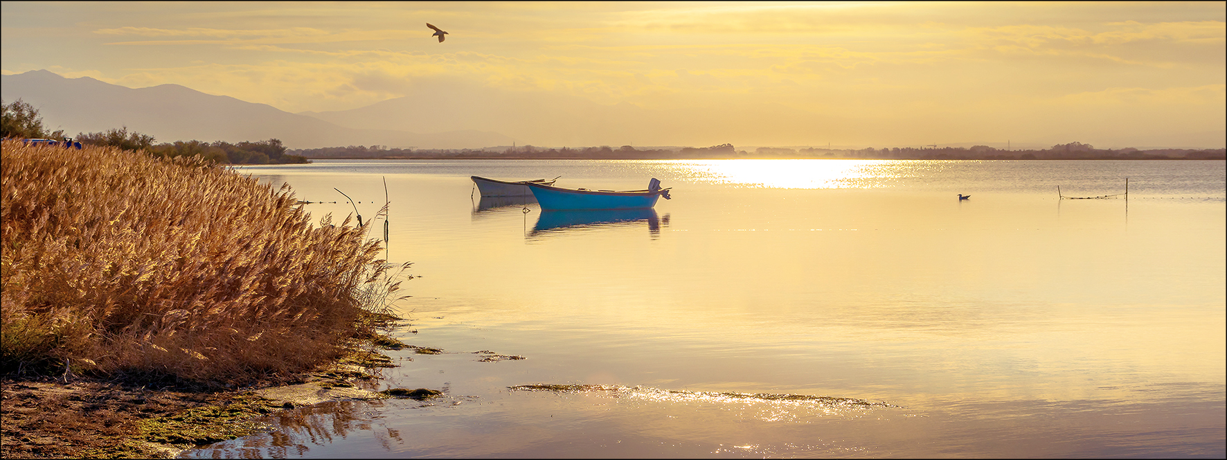 ProArt Canvas-Art 80x30cm Sunshine On The Lake II