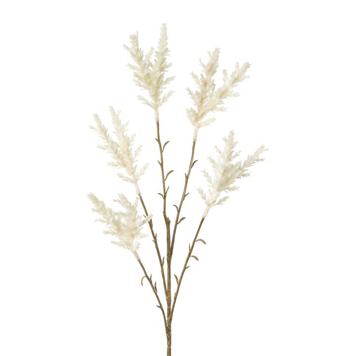 Miscanthuszweig x5,68cm weiß WARAN in Weiß Gasper Miscanthuszweig WARAN in weiß
