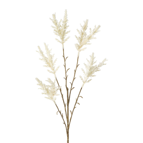 Miscanthuszweig x5,68cm weiß WARAN in Weiß, Pampasgras, Kunstpflanze, Weiß, Ziergras, Dekoration