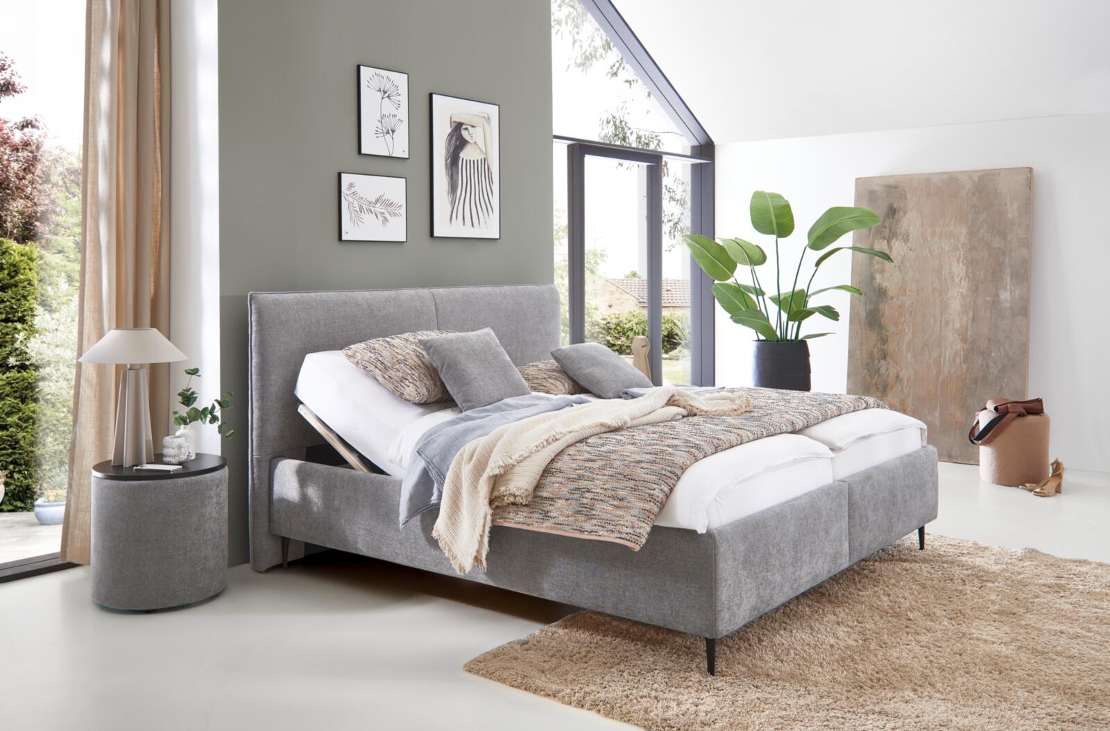Oschmann Comfortbetten Polsterbett DREAMPALCE 2.0 PB ca. 206x227cm ca.180x200cm in Farbe Toni grey, Bettrahmen, Bett, Graues Bettgestell, Bettwäsche, Teppich, Wohnzimmerpflanze