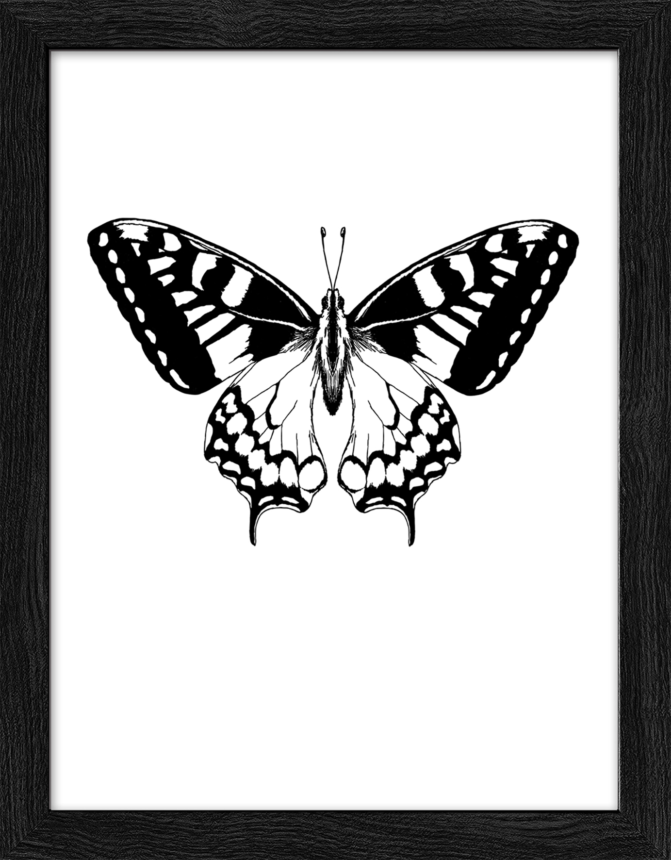 ProArt Framed-Art Slim Scandic 19x24cm Butterfly ProArt Framed-Art Slim Scandic 19x24cm Butterfly