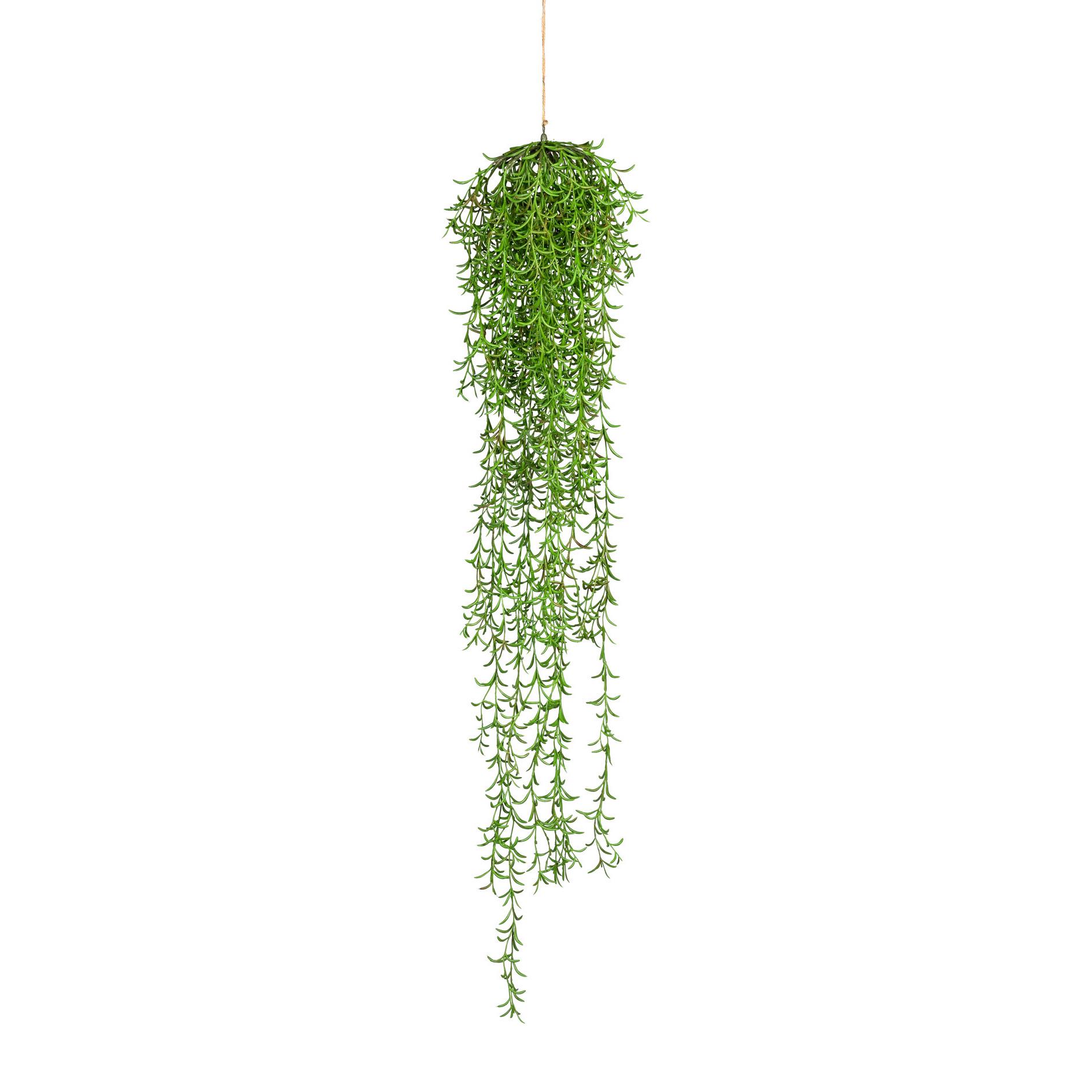 Gasper Nerifolia-Hängezopf ADELINA in grün