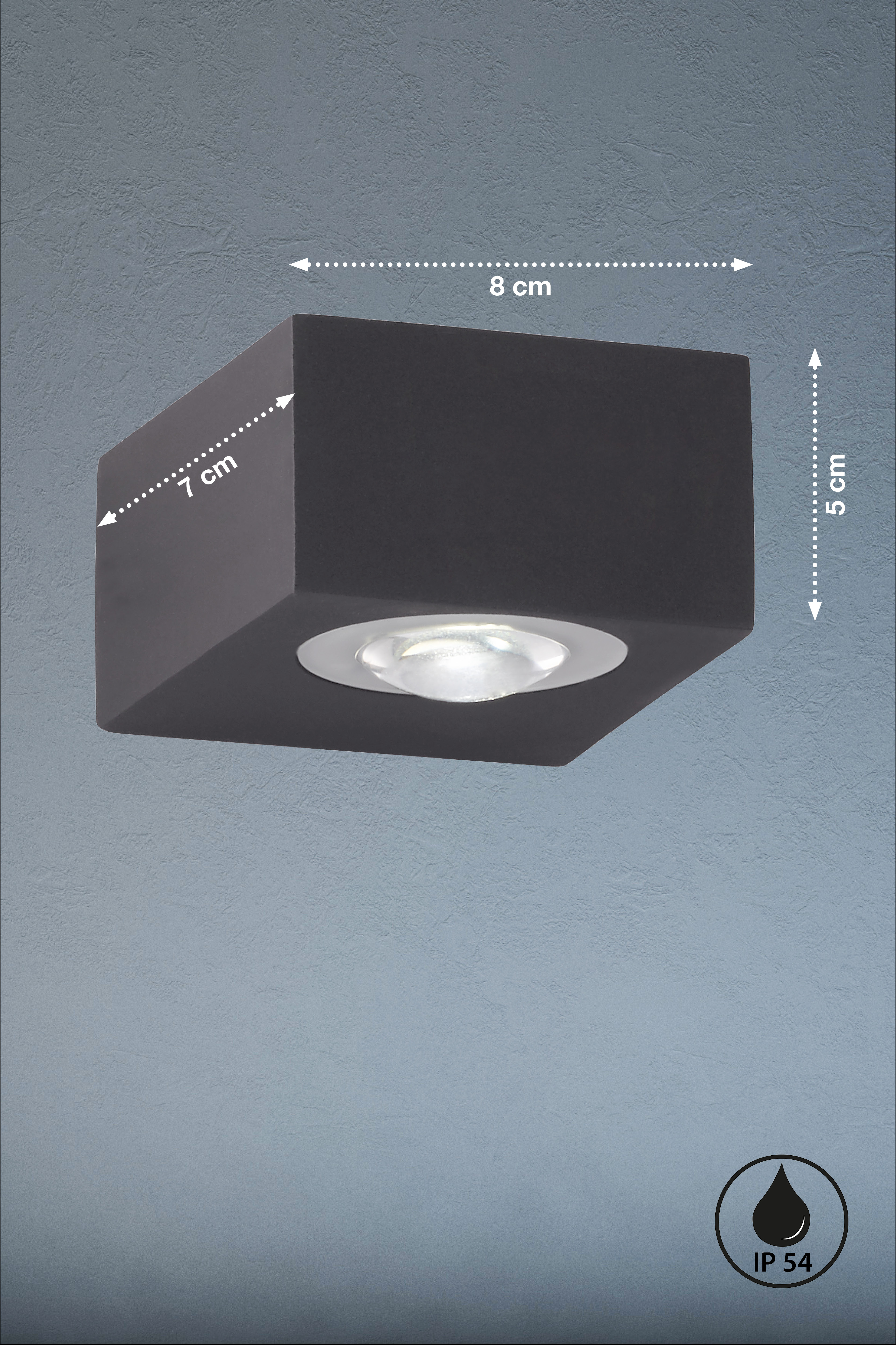 Fischer & Honsel LED-Wandleuchte HELSINKI in Metall schwarz/Acryl klar