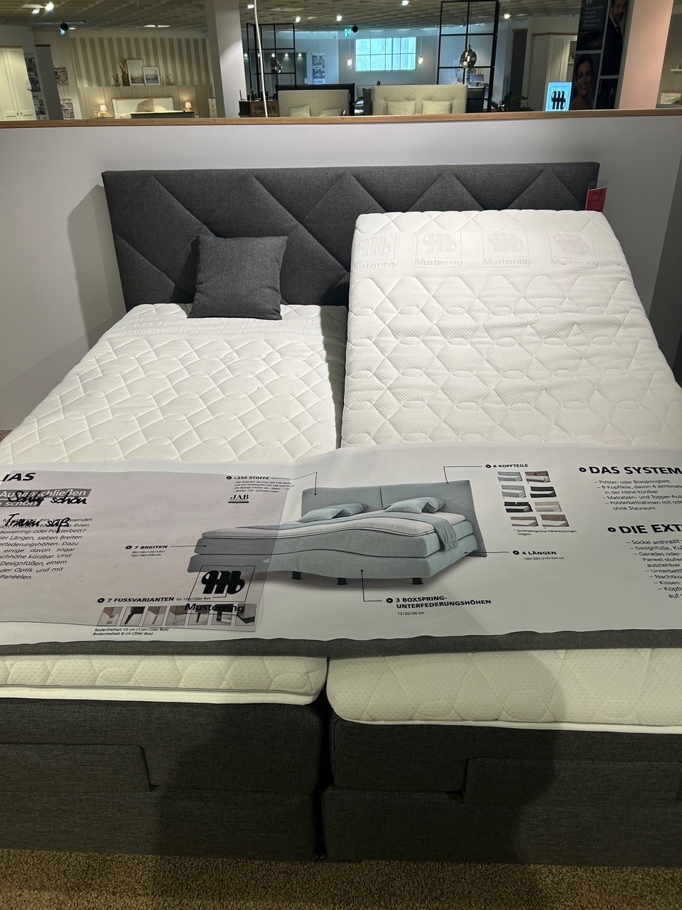 Musterring Boxspringbett ELIAS in Stoff Boxspring 09371 PG1