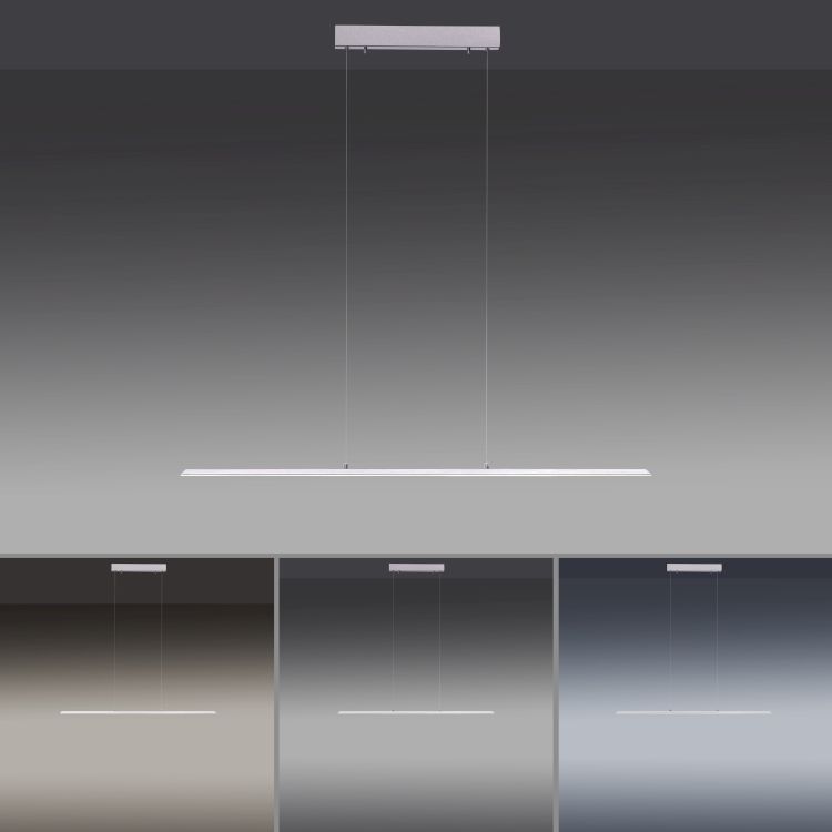 Paul Neuhaus LED-Pendelleuchte PURE LITE 1-flammig in Farbe stahl, Beleuchtung, Drinnen