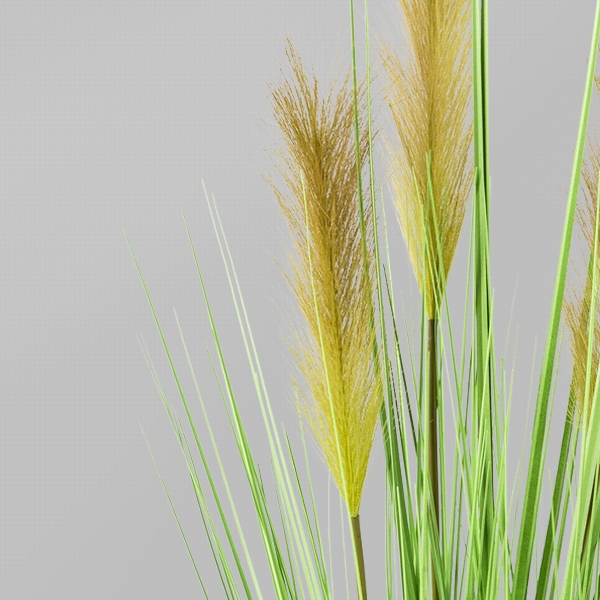 Gasper Grasbusch im weißen Topf ca.H95 cm in 95cm, grün