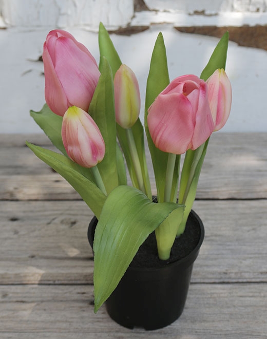  // Tulpen getopft // Real Touch, rosa-grün // 5-fach // Höhe ca. 25 cm