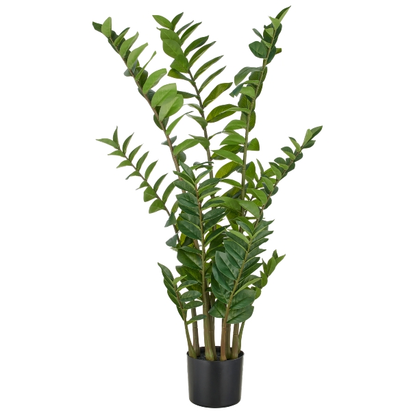 Roomio Zamifolia JAWA Durchmesser ca. 17 cm, Höhe ca. 110 cm in Fb. grün Roomio Zamifolia JAWA Durchmesser ca. 17 cm, Höhe ca. 110 cm in Fb. grün, Blatt, Pflanze, Farn