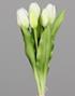 DPI Tulpen Bund cream 31 cm 87030-05 in 3 Blüten, 2 Knospen DPI Tulpen Bund cream 31 cm in 3 Blüten, 2 Knospen