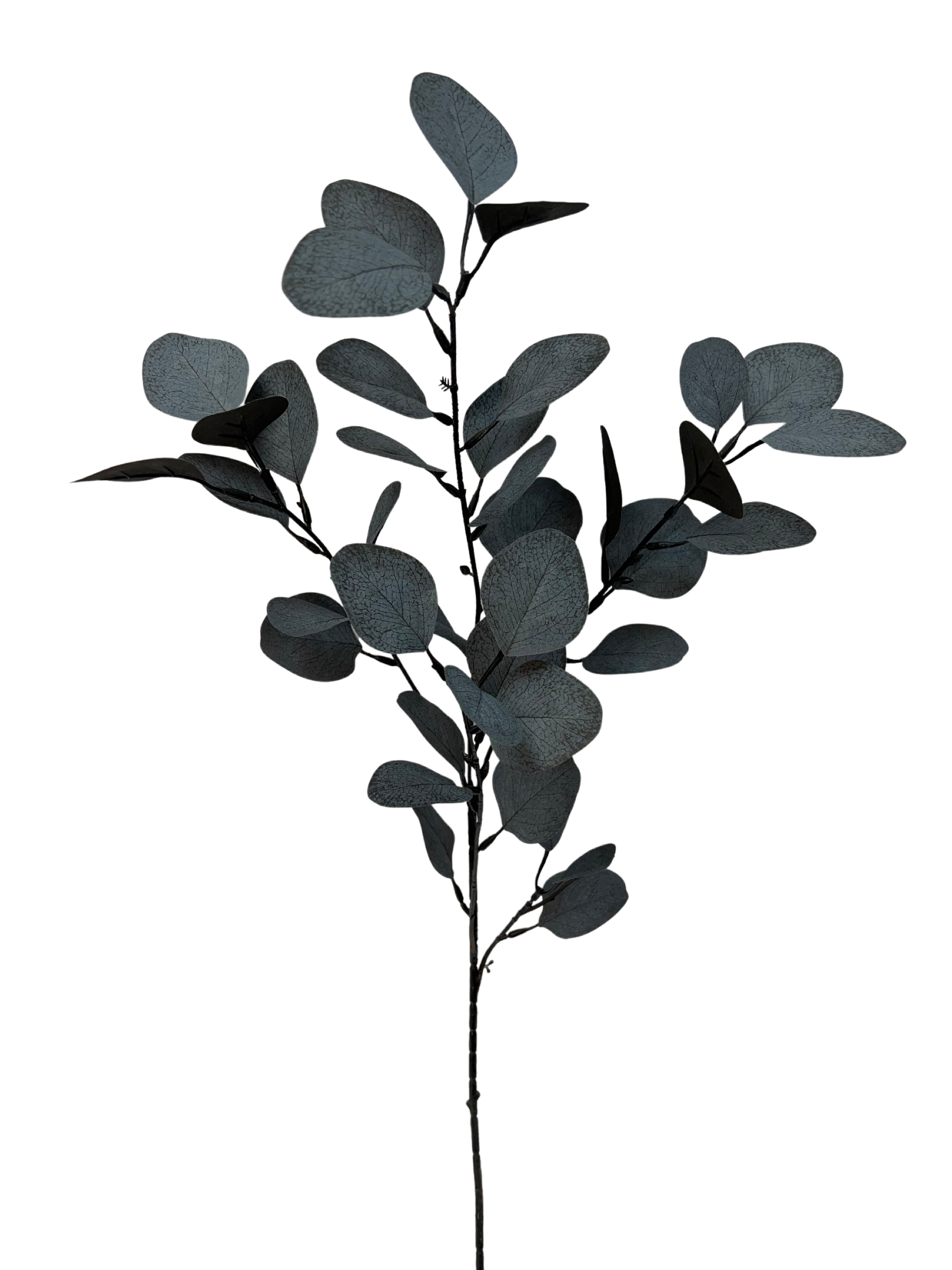 Eukalyptuszweig ca.73cm 1904-998 in Schwarz, zweig, blatt, eukalyptus, zweig mit blättern, pflanzenzweig