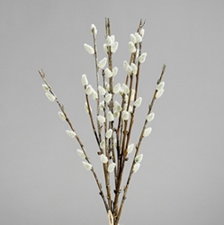 DPI Weidenkätzchen-Bund in Farbe Weiß, Blume, Blumen-Arrangement, Pflanze, Ikebana