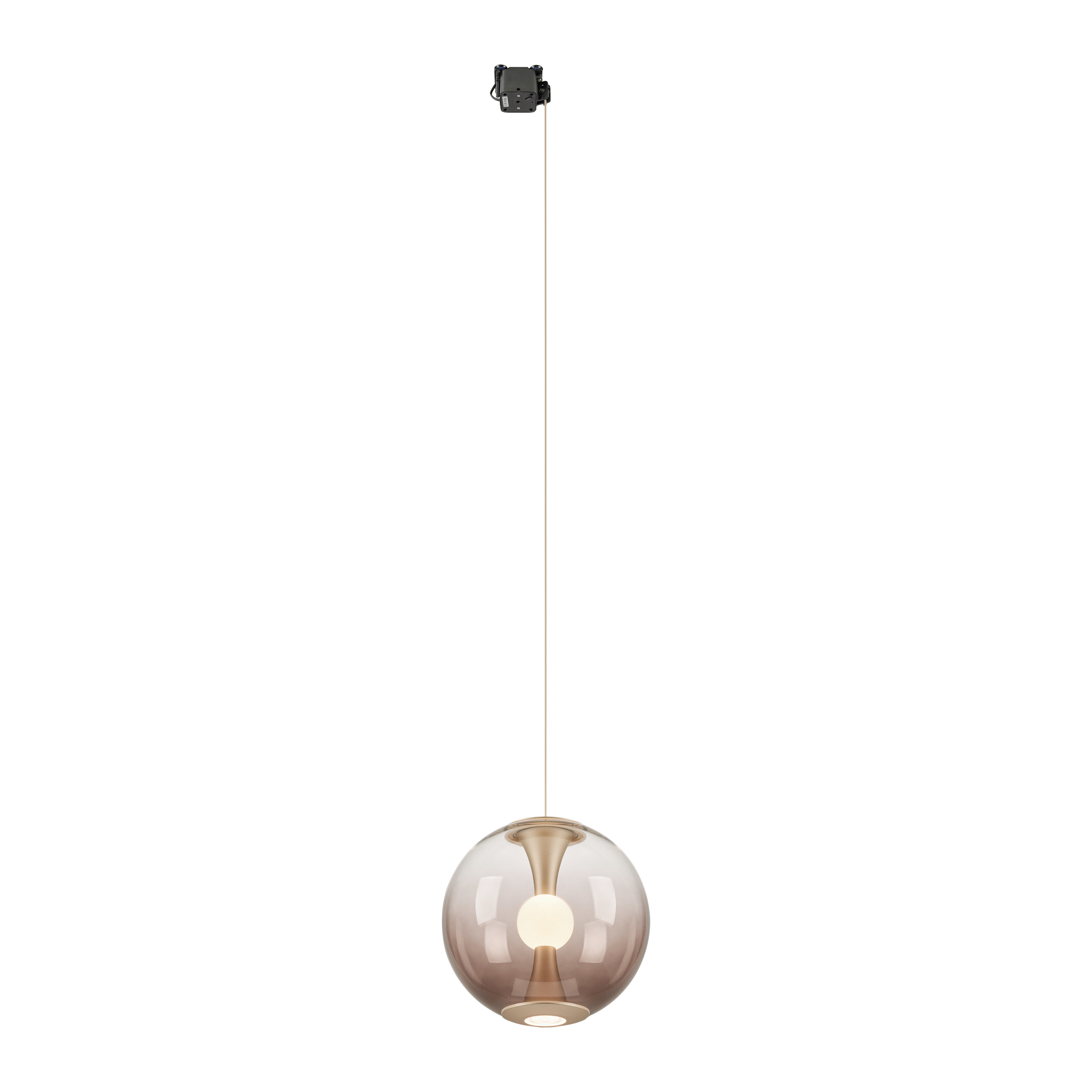 Paul Neuhaus LED-Pendelleuchte Base PURE BASE-GLOW 1-flammig in Farbe bronce Paul Neuhaus LED-Pendelleuchte Base PURE BASE-GLOW 1-flammig in Farbe bronce, Hängeleuchte, Glasballon, E27, Kabelpendel, Roségold