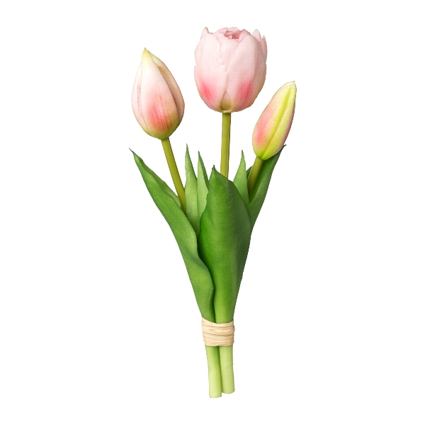 Gasper Tulpenbundx 3, 20,5 cm, rosa in Farbe Rosa, Tulpen, Blumenstrauß, Stielrosen, Pink, Grün