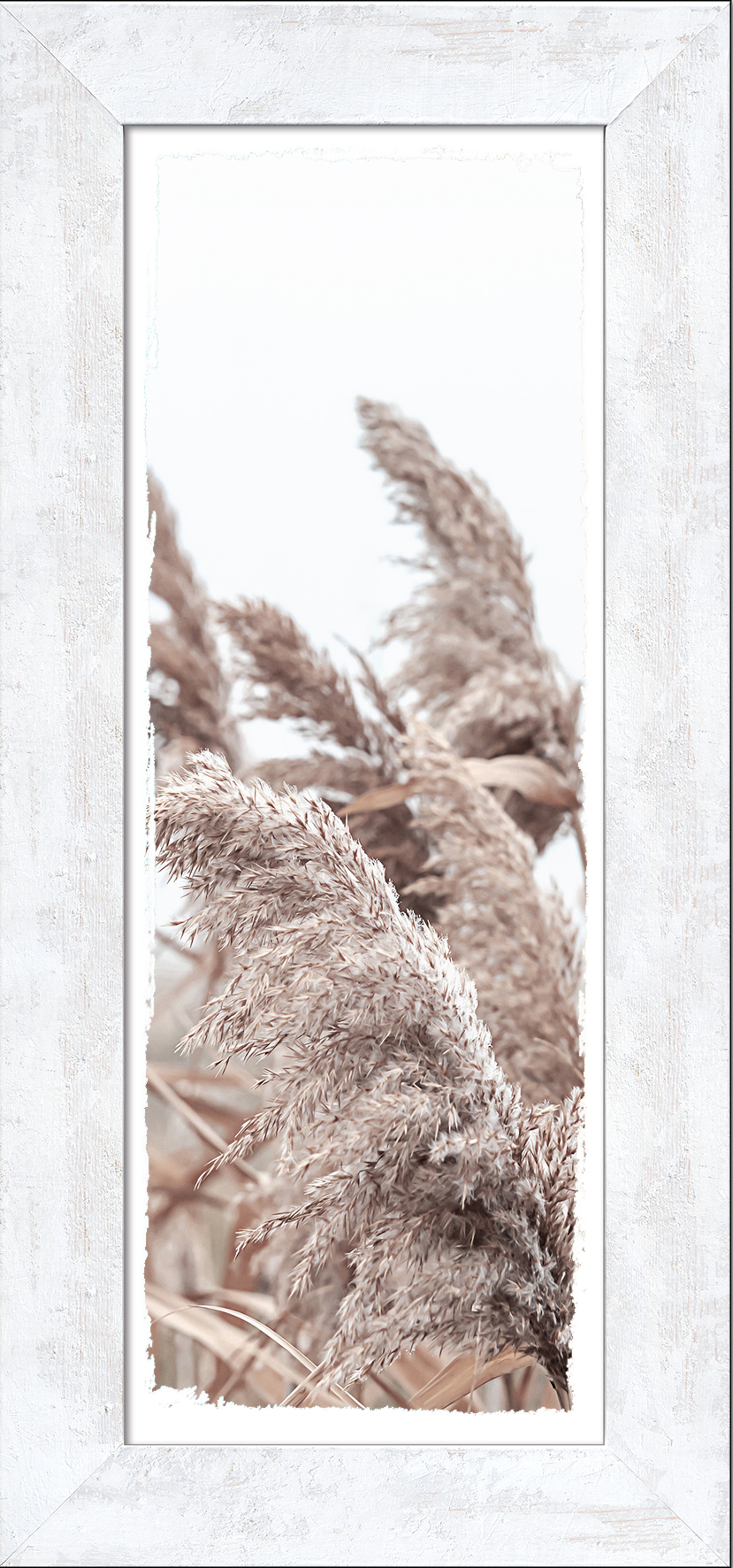 ProArt New Classic Wood 44x94cm In The Breeze ll