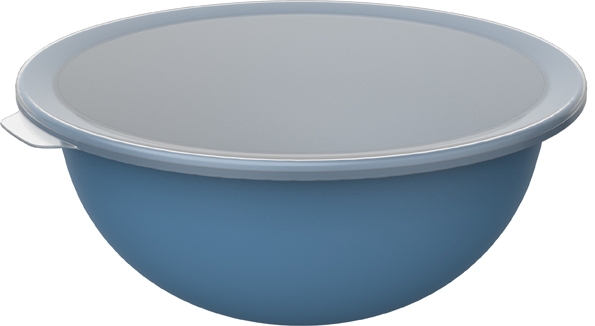 Rotho Schüssel mit Deckel CARUBA in Farbe Horizon Blue Rotho Schüssel mit Deckel CARUBA in Farbe Horizon Blue