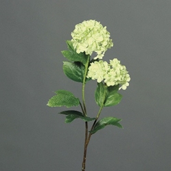 DPI Schneeball in Farbe green