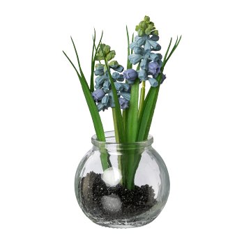 Gasper Muscari mit Gras im Glas in Farbe Blau