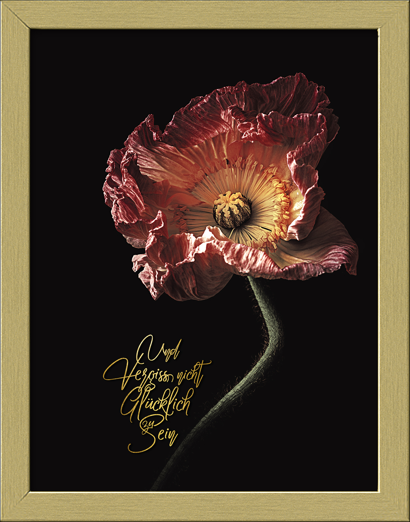 ProArt Framed-Art Slim Scandic 19x24cm Beautiful & Gold IV ProArt Framed-Art Slim Scandic 19x24cm Beautiful & Gold IV