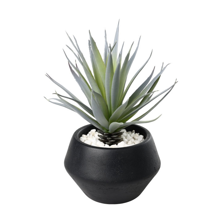 Eglo Living Agave im Topf YULARA in Fb. grün, schwarz Eglo Living Agave im Topf YULARA in Fb. grün, schwarz, Pflanze, Pflanze im Topf