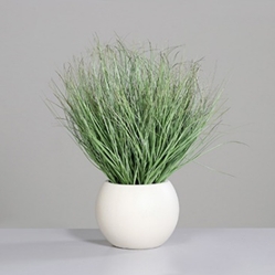 DPI Gras im Deko Topf in Farbe grün