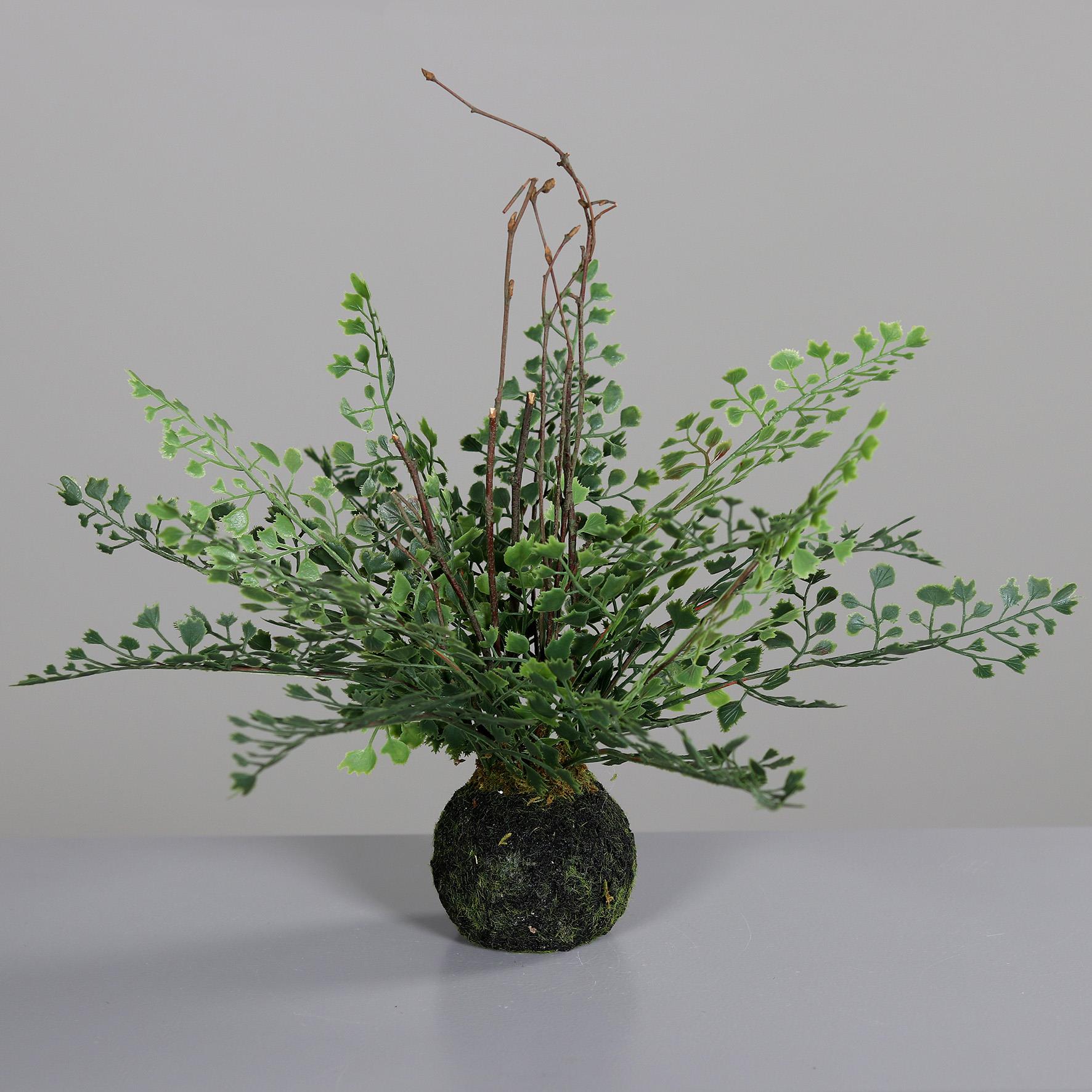 DPI Farn in Farbe green DPI Farn in Farbe green, Künstliche Pflanze, Bonsai-Ähnlich, Grünpflanze, Kugel-Topf, Kleines Moos-Arrangement