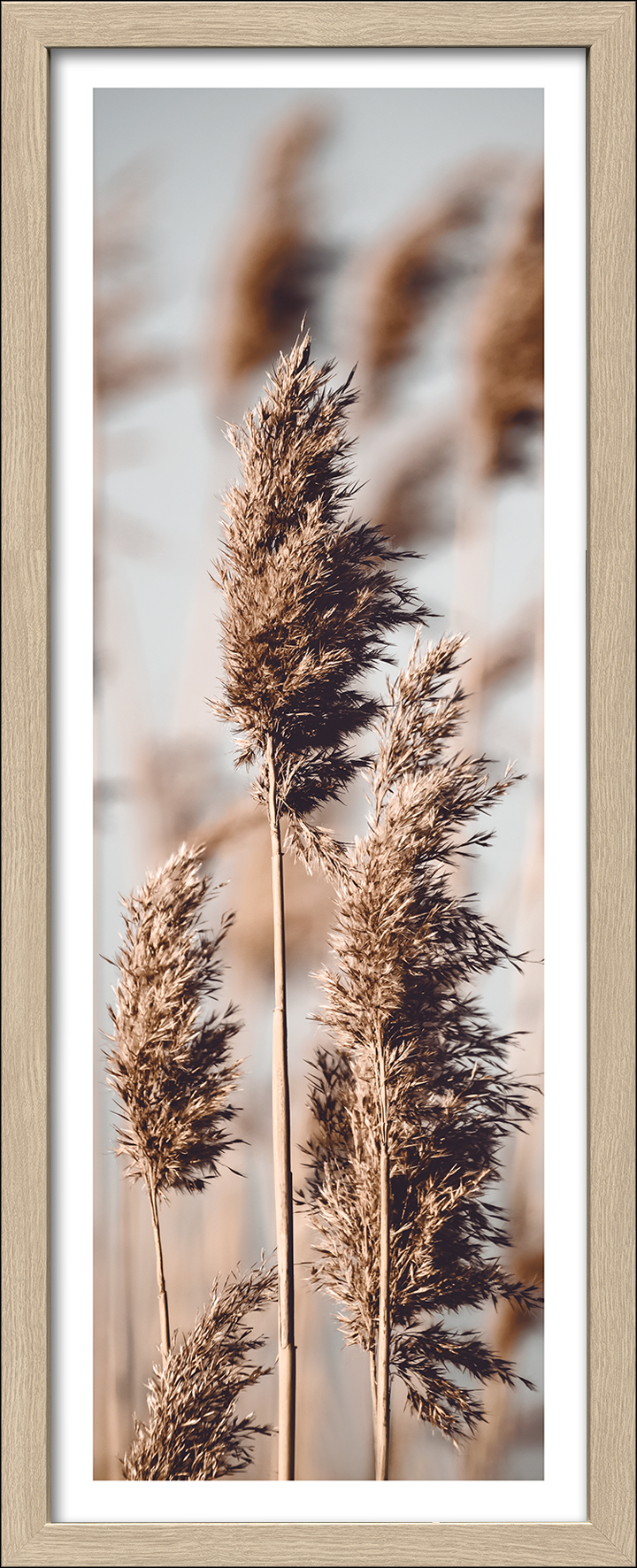 ProArt Framed-Art Scandic Living 35x85cm Dried Fiber V