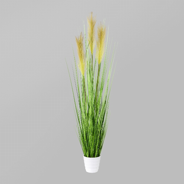 Gasper Grasbusch im weißen Topf ca.H95 cm in 95cm, grün